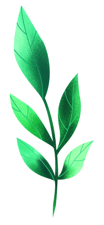 randa_logo